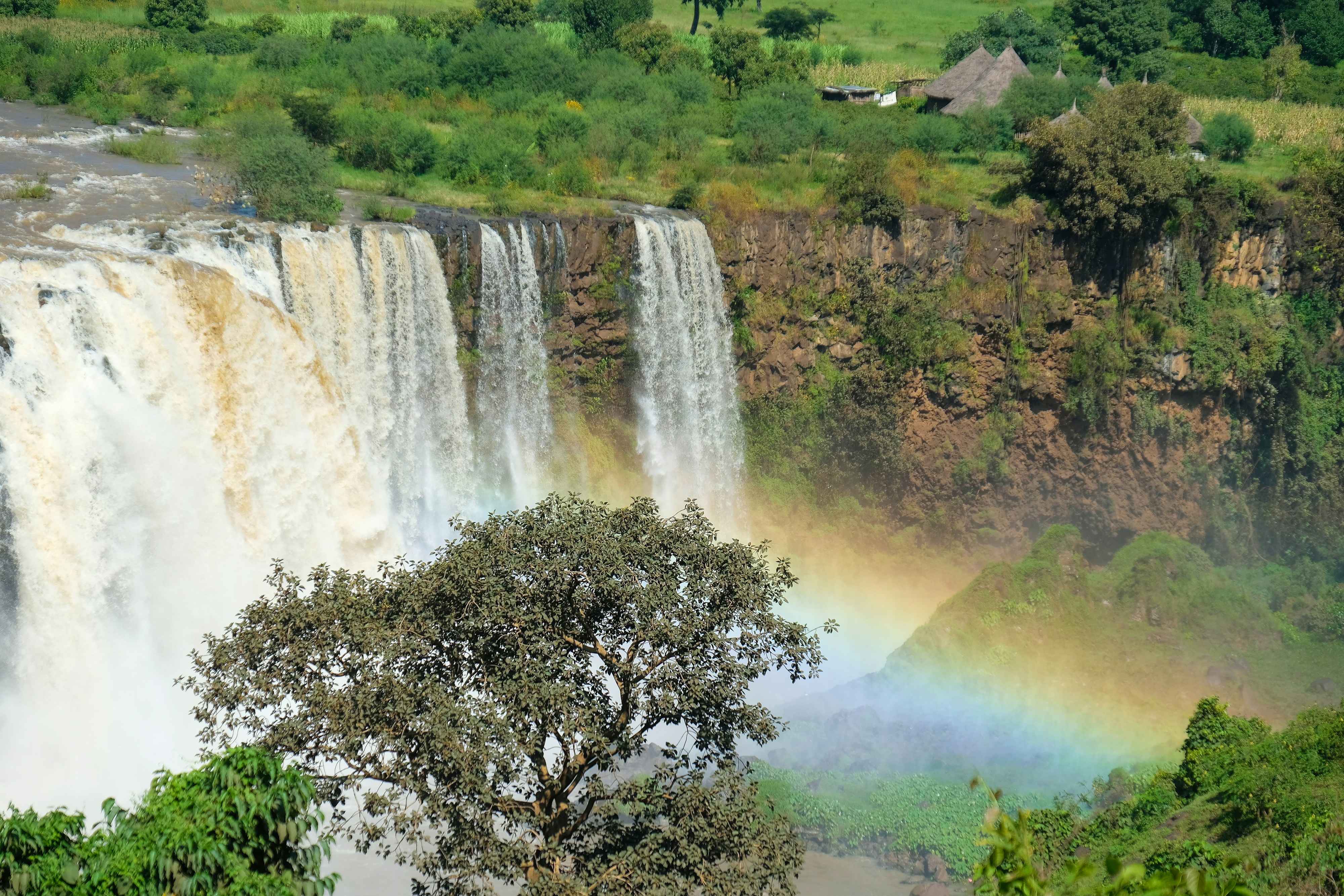 Blue Nile Fall